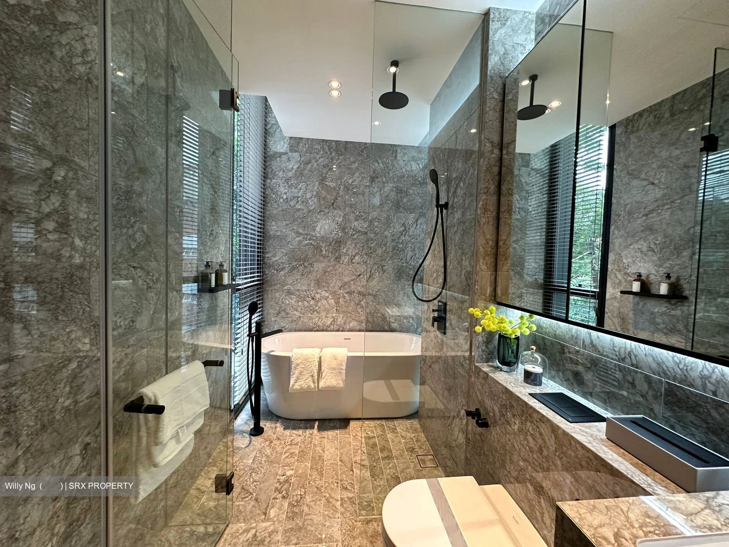 Jervois Privé (D10), Apartment #410899481